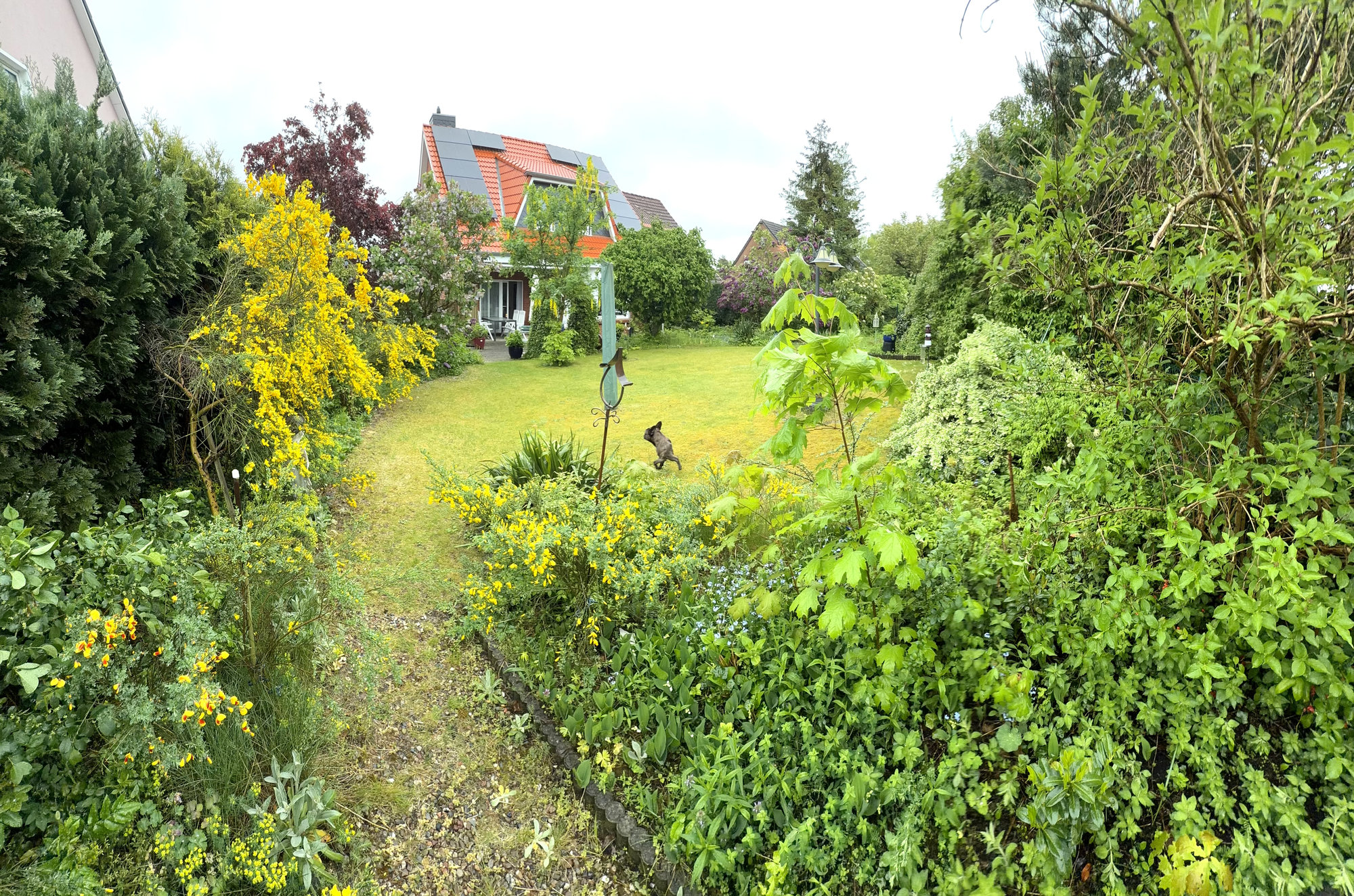 Gartenimpression 1